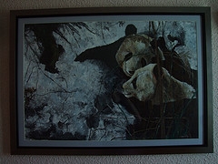 David Shepherd Wildlife